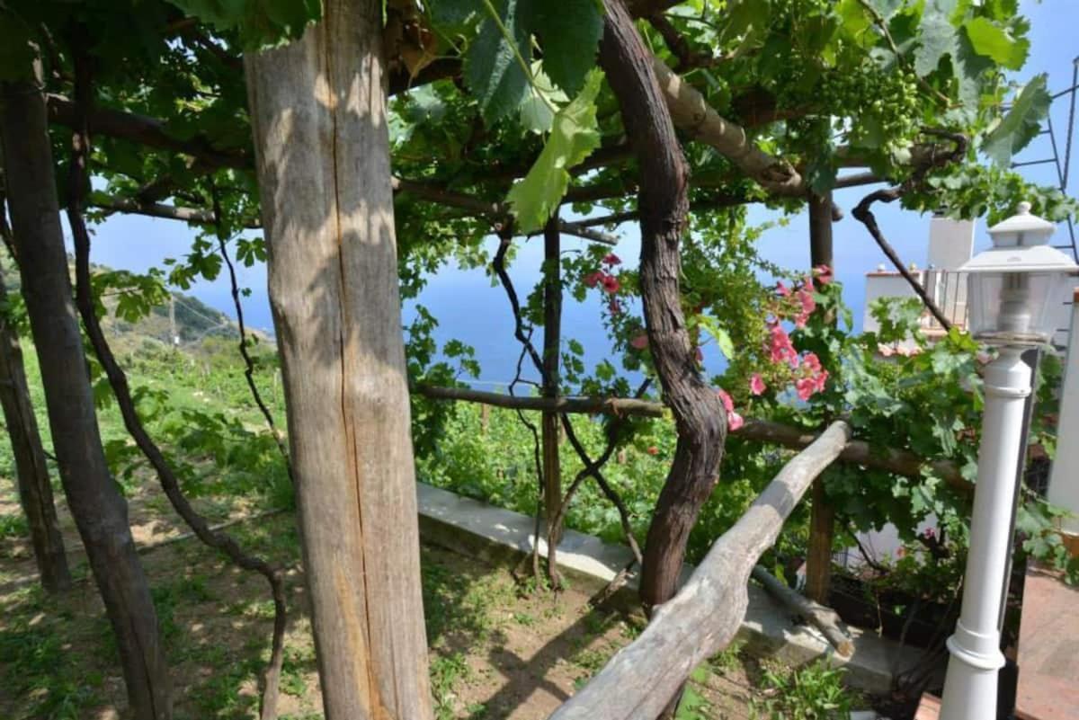 Tenuta La Picola 푸로레 외부 사진